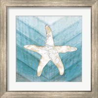 Framed 'Coastal Starfish' border=