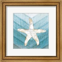 Framed 'Coastal Starfish' border=