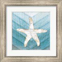 Framed 'Coastal Starfish' border=