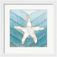 Framed 'Coastal Starfish' border=