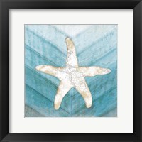 Coastal Starfish Framed Print