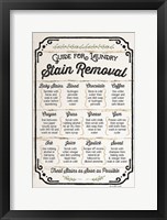 Stain Removal Guide Framed Print