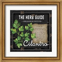 Framed 'Herb Guide Cilantro' border=