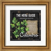 Framed 'Herb Guide Cilantro' border=