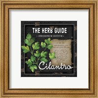 Framed 'Herb Guide Cilantro' border=