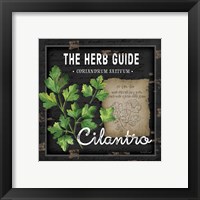 Framed 'Herb Guide Cilantro' border=