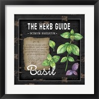 Framed 'Herb Guide Basil' border=