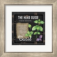 Framed 'Herb Guide Basil' border=