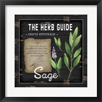 Framed 'Herb Guide Sage' border=