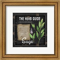 Framed 'Herb Guide Sage' border=