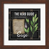 Framed 'Herb Guide Sage' border=