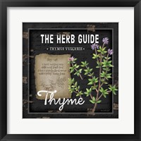 Framed 'Herb Guide Thyme' border=