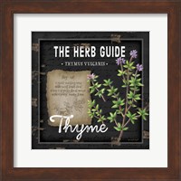 Framed 'Herb Guide Thyme' border=