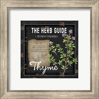 Framed 'Herb Guide Thyme' border=