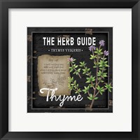 Framed 'Herb Guide Thyme' border=