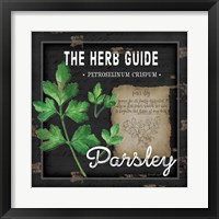 Framed 'Herb Guide Parsley' border=