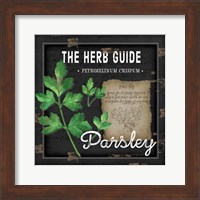 Framed 'Herb Guide Parsley' border=