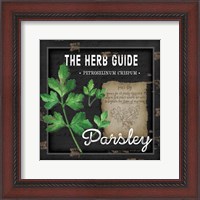 Framed 'Herb Guide Parsley' border=