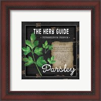 Framed 'Herb Guide Parsley' border=