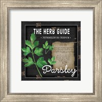 Framed 'Herb Guide Parsley' border=