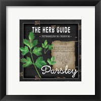 Framed 'Herb Guide Parsley' border=