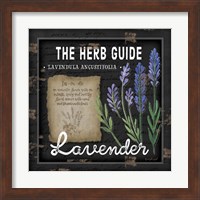 Framed 'Herb Guide Lavender' border=