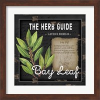 Framed 'Herb Guide Bay Leaf' border=