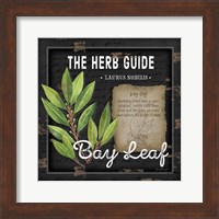 Framed 'Herb Guide Bay Leaf' border=