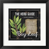 Framed 'Herb Guide Bay Leaf' border=