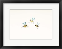 Framed 3 Bees on White