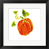 Framed 'Pumpkin Patch IV' border=