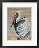 Pelican Framed Print