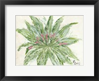 Succulent No. 1 Framed Print