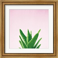 Framed 'Succulent Simplicity V on Pink' border=