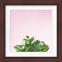 Framed 'Succulent Simplicity III on Pink' border=