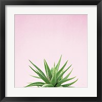 Framed 'Succulent Simplicity I on Pink' border=