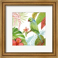 Framed 'Treasures of the Tropics VII' border=