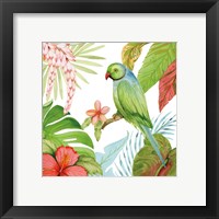 Framed 'Treasures of the Tropics VII' border=