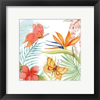 Framed 'Treasures of the Tropics IV' border=