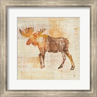 Framed 'Moose Study' border=