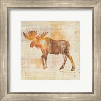 Framed 'Moose Study' border=