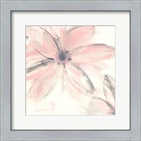 Framed 'Blush Clematis II' border=