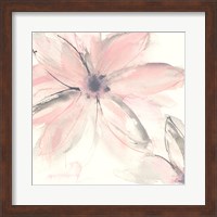 Framed Blush Clematis II