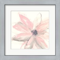 Framed 'Blush Clematis I' border=