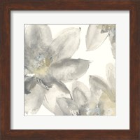 Framed Gray and Silver Flowers I