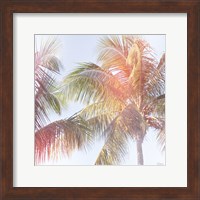 Framed Dream Palm III