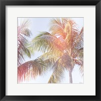 Framed 'Dream Palm III' border=