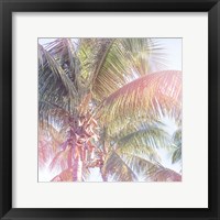 Dream Palm II Framed Print