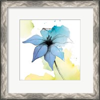 Framed 'Watercolor Graphite Flower V' border=