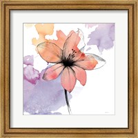 Framed 'Watercolor Graphite Flower II' border=